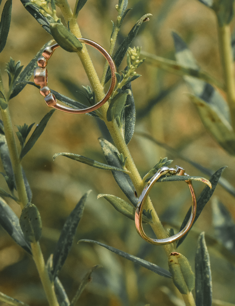 A photo of 14k diamond gold rings hanging off a plant