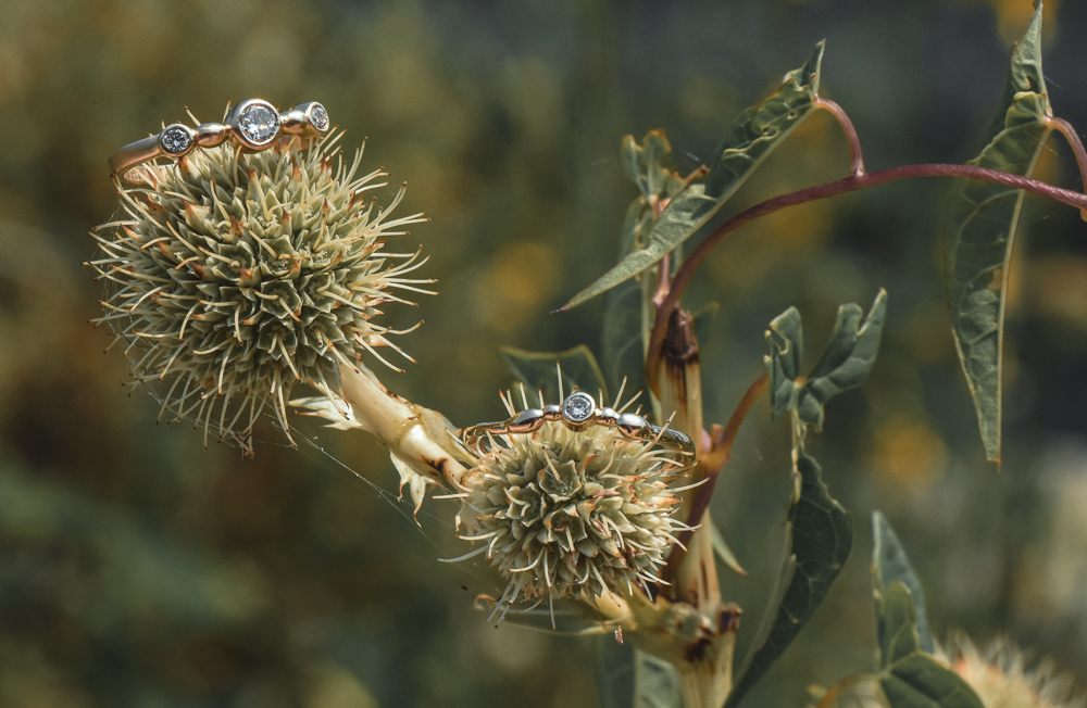 A photo of two 14k gold diamond rings sitting on seed pods